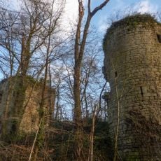 Château de la Roche-Montbourcher