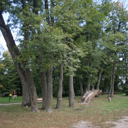 Park z alejami dojazdowymi