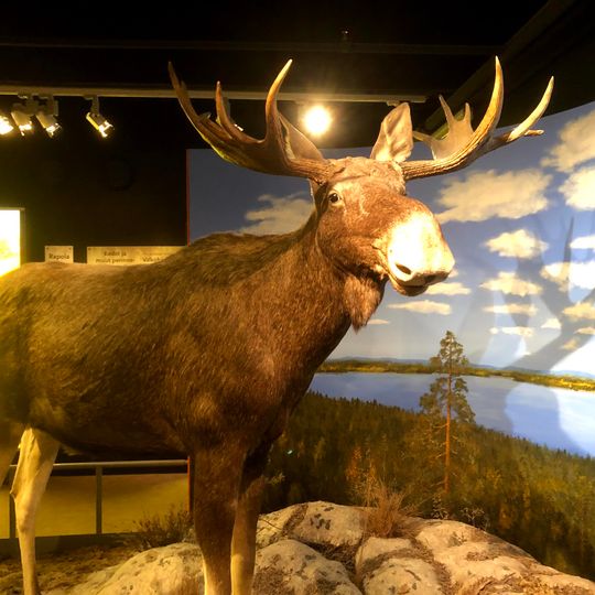 Natural History Museum