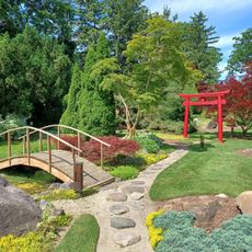 Schedel Arboretum and Gardens