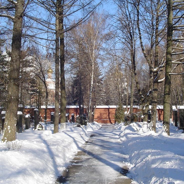 Новодівичий цвинтар