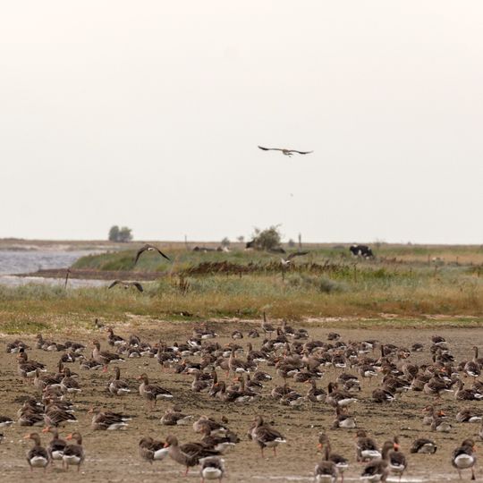 Haken Boiensdorfer Werder