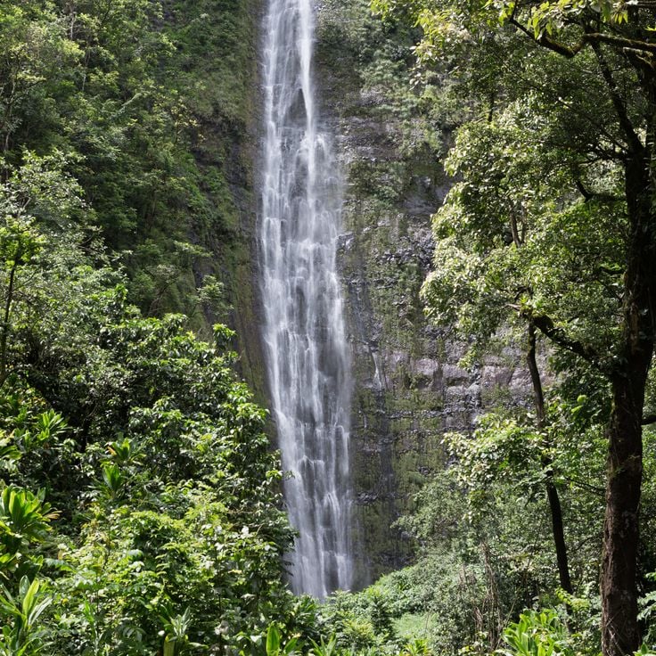 Waimoku Falls