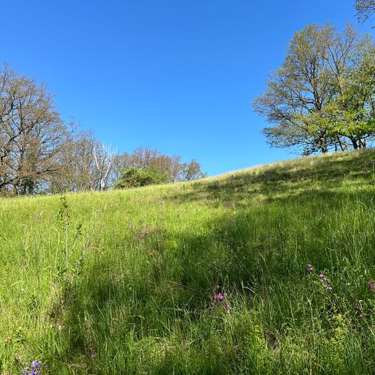 Trockenhang in Köttwitzschtal