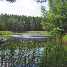 Erlenbruch-Oberbusch Grüngräbchen