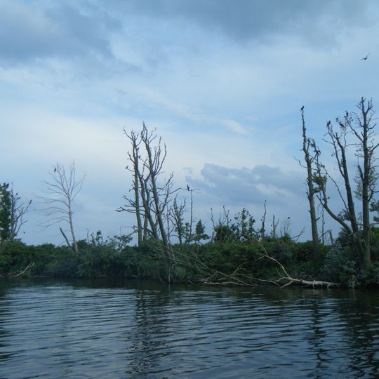 Rezerwat przyrody Jezioro Dobskie