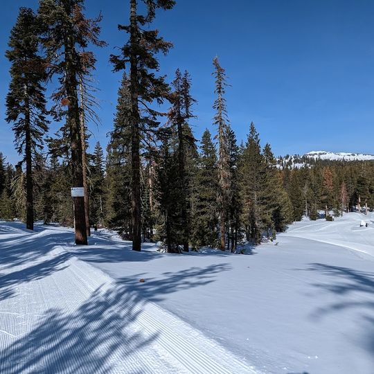 Royal Gorge Cross Country Ski Resort