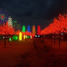 I-City