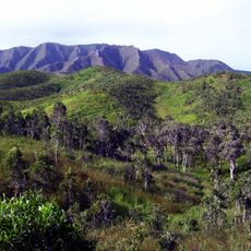 New Caledonia dry forests