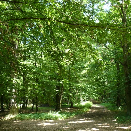 Ostroměřská tabule