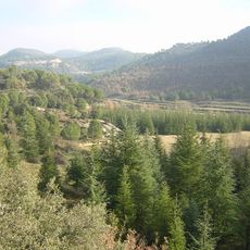 L'Estoviada de la Païssa