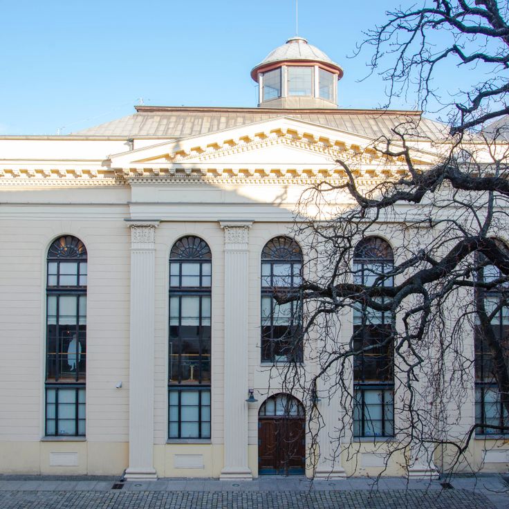 Sinagoga del Lince Blanco