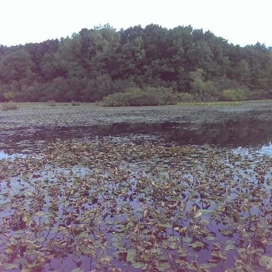 Réserve du parc d'État de Clay Pit Ponds