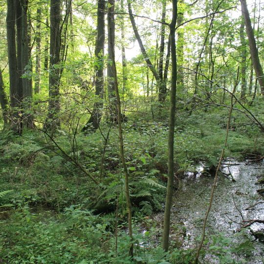 Hangquellmoor bei Weihe