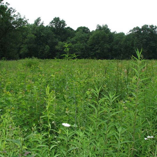 Jennings Environmental Education Center