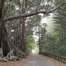 Hundred Acres Reserve