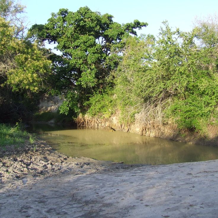 Mkomazi nasjonalpark