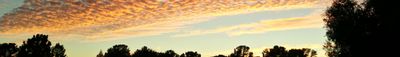 Panoramic View 0