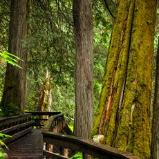 Ancient Forest/Chun T'oh Whudujut Provincial Park and Protected Area