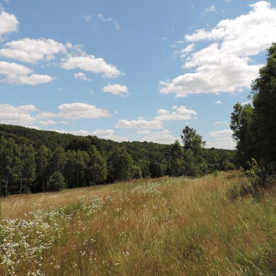 Parc national de la Podolie septentrionale