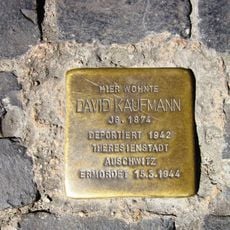 David Kaufmann