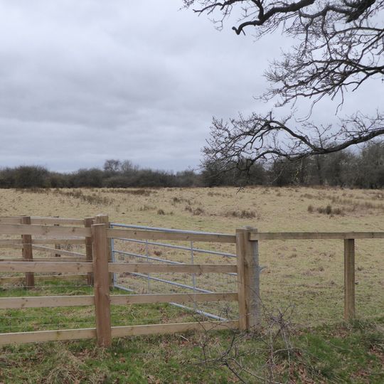 High Wood and Meadow
