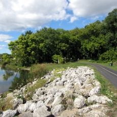 Busse Woods