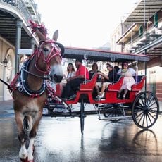 Royal Carriages