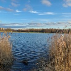 Krabbeplas