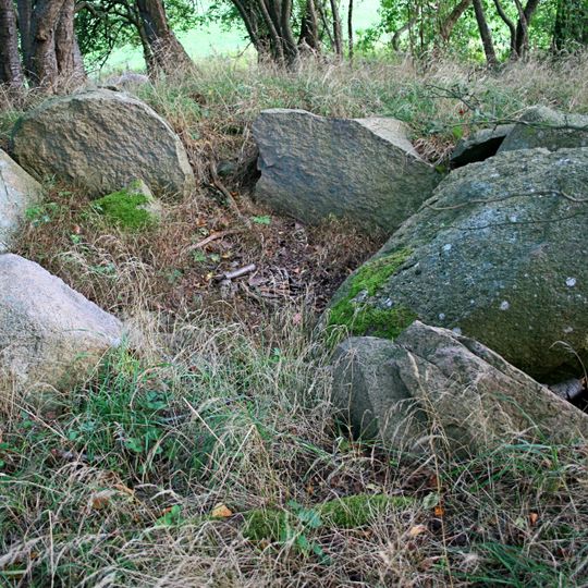 Großsteingrab Ranzow