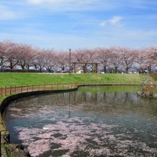 しらさぎ公園