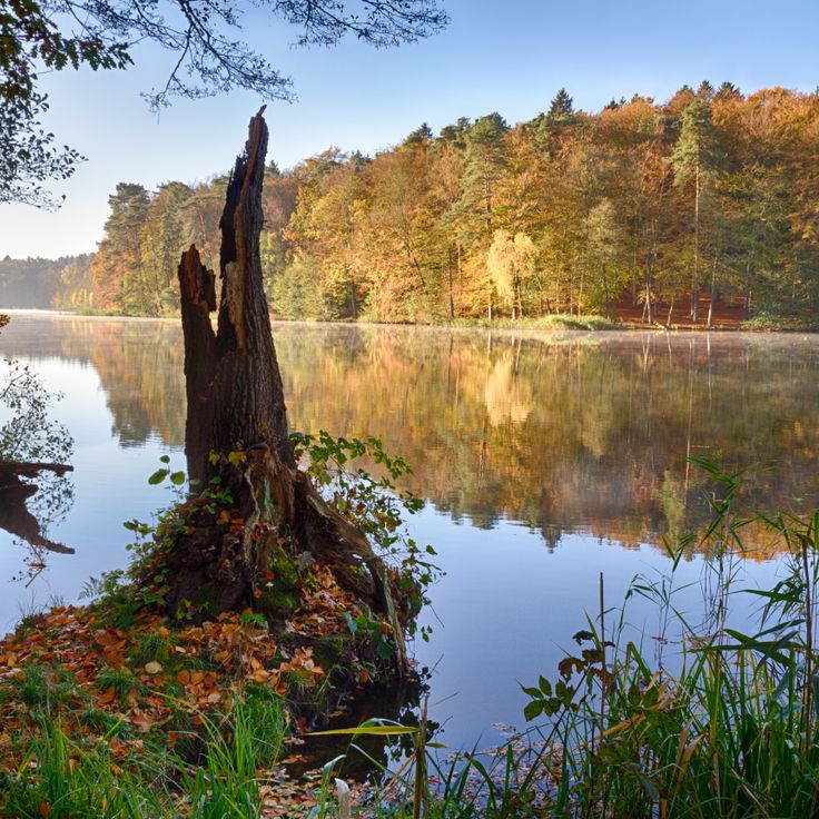 Parco naturale dei laghi di Lauenburg