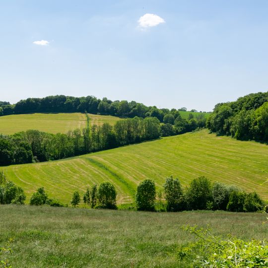 Durch Taeler und Rinnen gegliederte waldfreie Muschelkalk-Hangzone bei Bosseborn