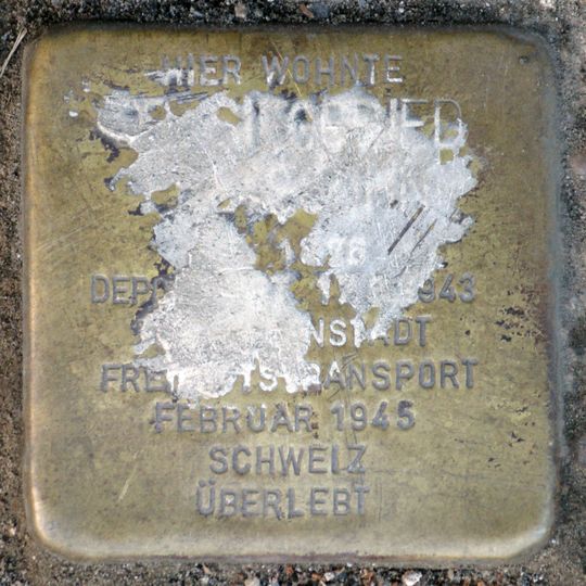 Stolperstein dedicated to Dr. Siegfried Peltesohn