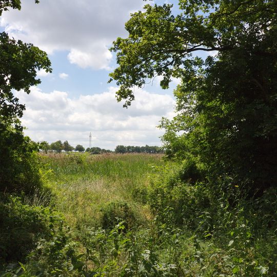 Schwarzwasserniederung