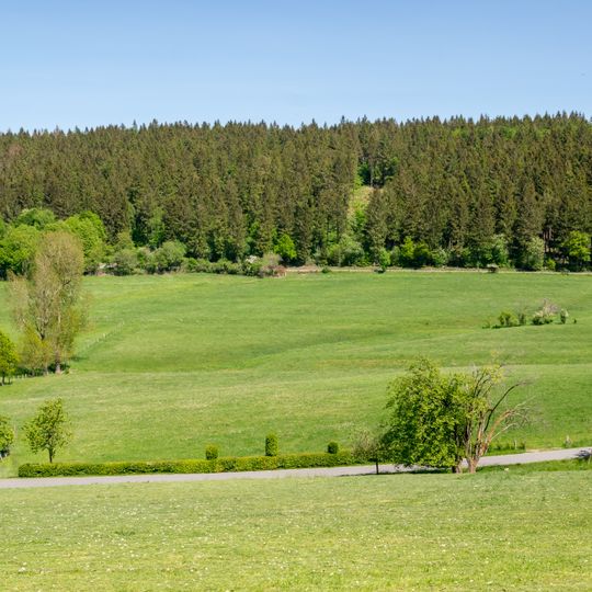 LSG-Gruenlandbereich suedlich Kempen