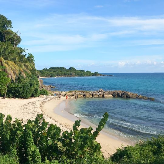 Plage d'Anse Vinaigri
