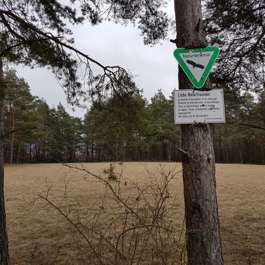 Naturdenkmal Halbtrockenrasen „Schalksberg“ Oberer und Unterer Schalksberg