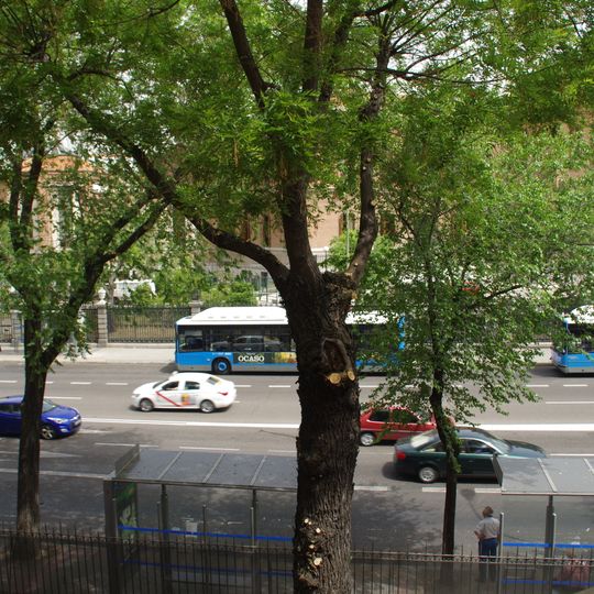 Paseo de las Acacias