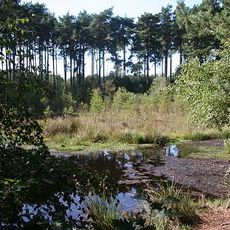 Black Lake Nature Reserve