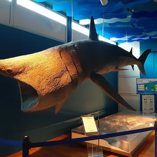 Marine Biology Museum