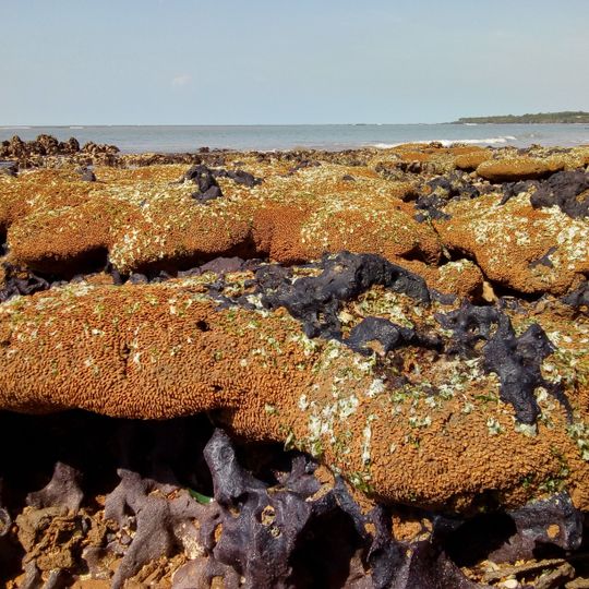 Área de Proteção Ambiental Costa das Algas