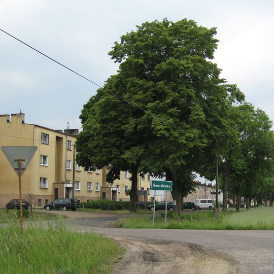 Henrykowo, Leszno County