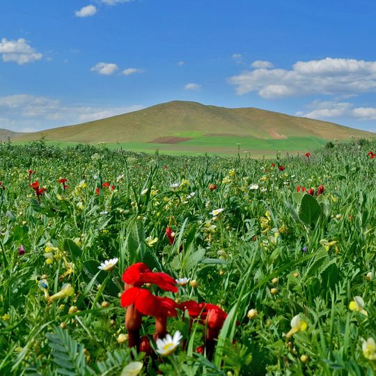 Azerbejdżan Zachodni