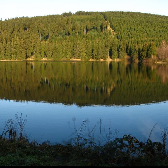 Mittlerer Kellerhalsteich