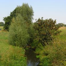 Barchovská plošina