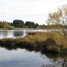 Schwarzenberger Weiher mit Wintermoos und Sennenmoos