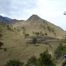 Batongguan