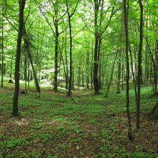 Puszcza Knyszyńska Landscape Park