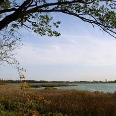 Rice Lake State Park